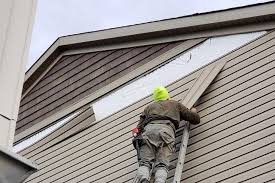 Best Vinyl Siding Installation  in Escobares, TX